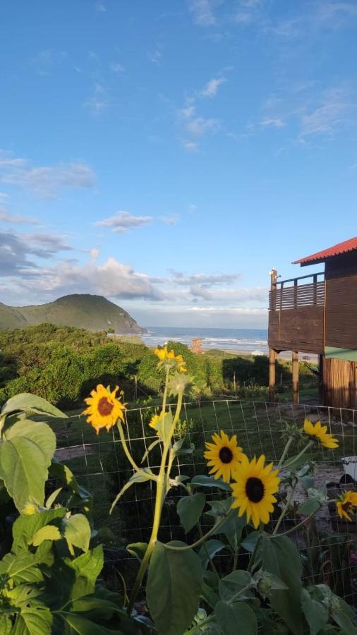 Koa Do Luz * Imbituba (Santa Catarina)