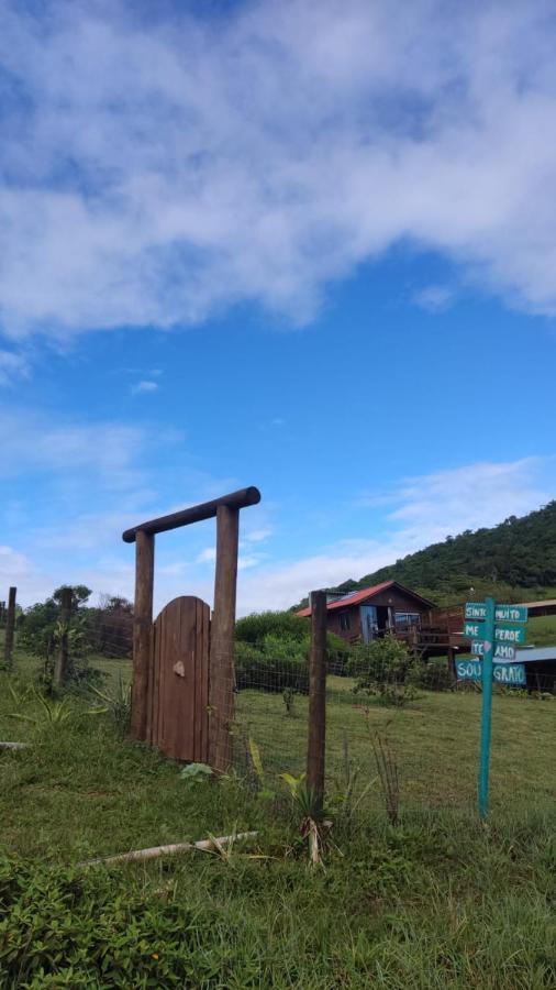Koa Do Luz